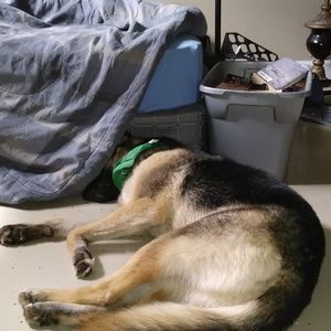 Meet your Posher, Wayne